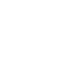 Bright Curve SAP System Audits Services